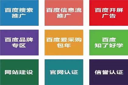 SEM托管服务案例：实现品牌价值最大化